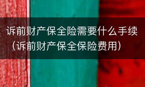 诉前财产保全险需要什么手续（诉前财产保全保险费用）