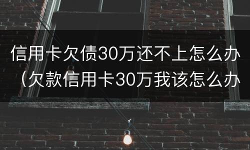 信用卡欠债30万还不上怎么办（欠款信用卡30万我该怎么办）