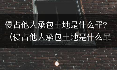 侵占他人承包土地是什么罪？（侵占他人承包土地是什么罪名）