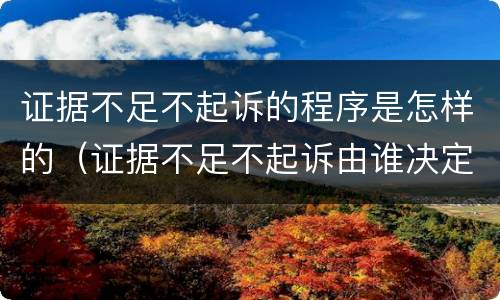 证据不足不起诉的程序是怎样的（证据不足不起诉由谁决定）