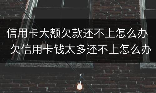 信用卡大额欠款还不上怎么办 欠信用卡钱太多还不上怎么办