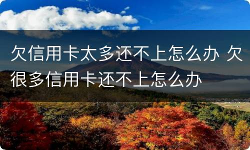 欠信用卡太多还不上怎么办 欠很多信用卡还不上怎么办