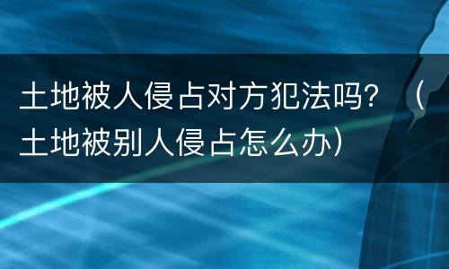 土地被人侵占对方犯法吗？（土地被别人侵占怎么办）
