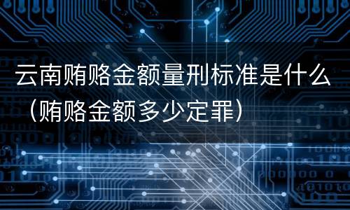 云南贿赂金额量刑标准是什么（贿赂金额多少定罪）