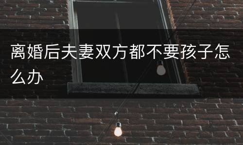 离婚后夫妻双方都不要孩子怎么办