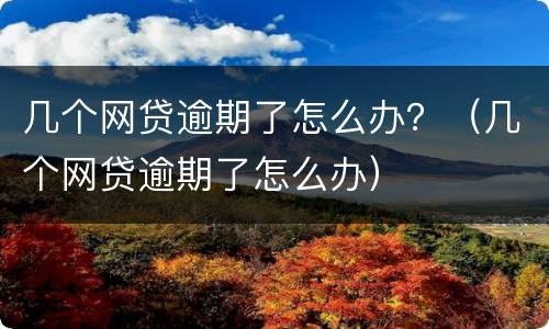 几个网贷逾期了怎么办？（几个网贷逾期了怎么办）