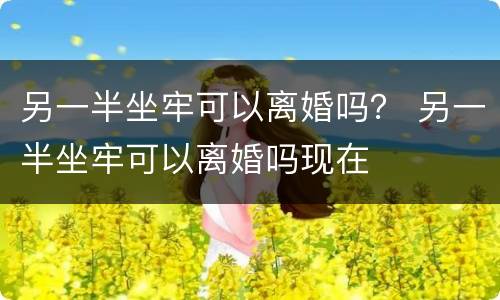 另一半坐牢可以离婚吗？ 另一半坐牢可以离婚吗现在