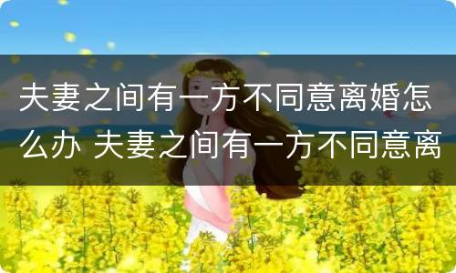 夫妻之间有一方不同意离婚怎么办 夫妻之间有一方不同意离婚怎么办理