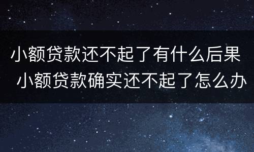 小额贷款还不起了有什么后果 小额贷款确实还不起了怎么办