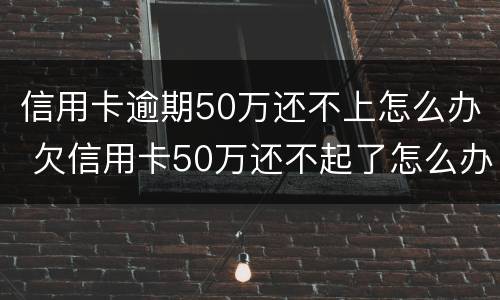 信用卡逾期50万还不上怎么办 欠信用卡50万还不起了怎么办