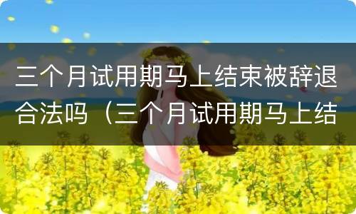 三个月试用期马上结束被辞退合法吗（三个月试用期马上结束被辞退概率大么）