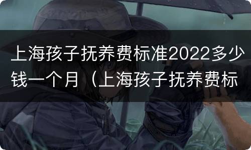 上海孩子抚养费标准2022多少钱一个月（上海孩子抚养费标准2022多少钱一个月呢）