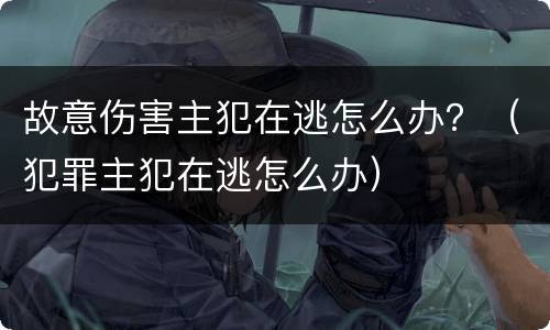 故意伤害主犯在逃怎么办？（犯罪主犯在逃怎么办）