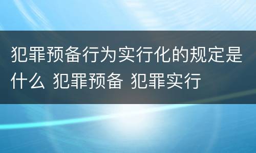 犯罪预备行为实行化的规定是什么 犯罪预备 犯罪实行