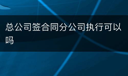 总公司签合同分公司执行可以吗