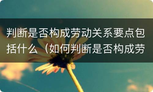 判断是否构成劳动关系要点包括什么（如何判断是否构成劳动关系）