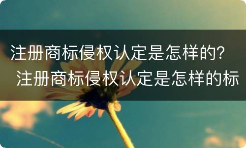 注册商标侵权认定是怎样的？ 注册商标侵权认定是怎样的标准