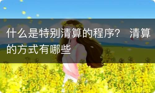 什么是特别清算的程序？ 清算的方式有哪些