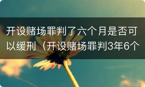 开设赌场罪判了六个月是否可以缓刑（开设赌场罪判3年6个月减刑多少）