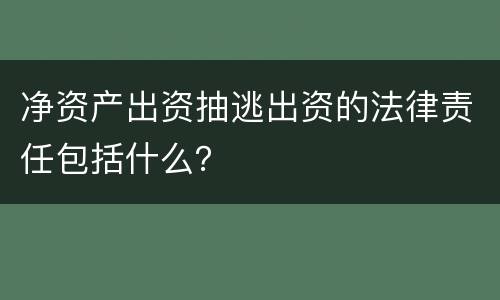 净资产出资抽逃出资的法律责任包括什么？