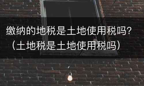 缴纳的地税是土地使用税吗？（土地税是土地使用税吗）