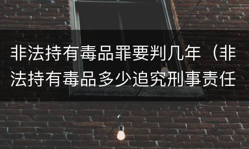非法持有毒品罪要判几年（非法持有毒品多少追究刑事责任）