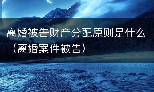 离婚被告财产分配原则是什么（离婚案件被告）