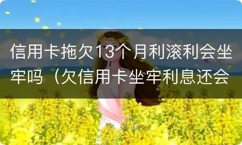 信用卡拖欠13个月利滚利会坐牢吗（欠信用卡坐牢利息还会涨吗）