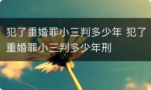 犯了重婚罪小三判多少年 犯了重婚罪小三判多少年刑