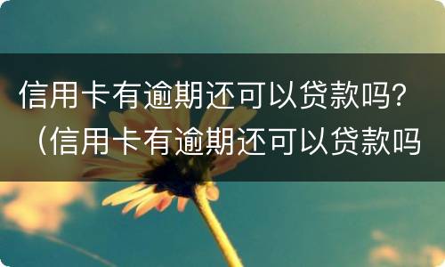 信用卡有逾期还可以贷款吗？（信用卡有逾期还可以贷款吗）