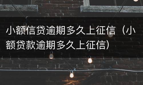 小额信贷逾期多久上征信（小额贷款逾期多久上征信）
