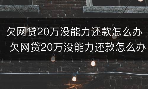 欠网贷20万没能力还款怎么办 欠网贷20万没能力还款怎么办呢