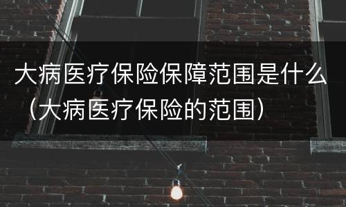 大病医疗保险保障范围是什么（大病医疗保险的范围）
