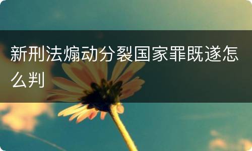 新刑法煽动分裂国家罪既遂怎么判