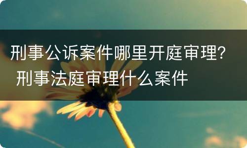 刑事公诉案件哪里开庭审理？ 刑事法庭审理什么案件