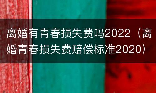 离婚有青春损失费吗2022（离婚青春损失费赔偿标准2020）