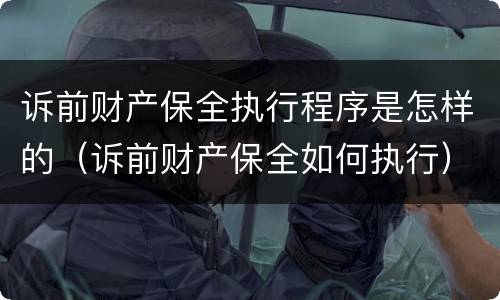 诉前财产保全执行程序是怎样的（诉前财产保全如何执行）