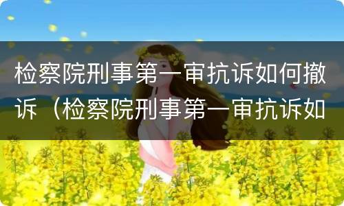 检察院刑事第一审抗诉如何撤诉（检察院刑事第一审抗诉如何撤诉呢）