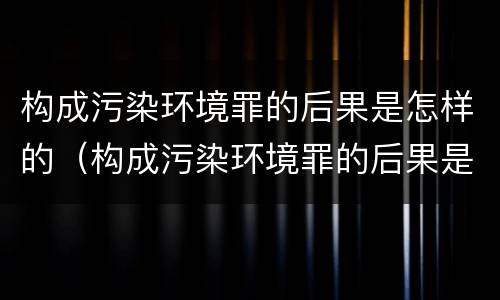 构成污染环境罪的后果是怎样的（构成污染环境罪的后果是怎样的呢）