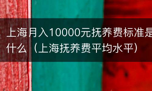 上海月入10000元抚养费标准是什么（上海抚养费平均水平）