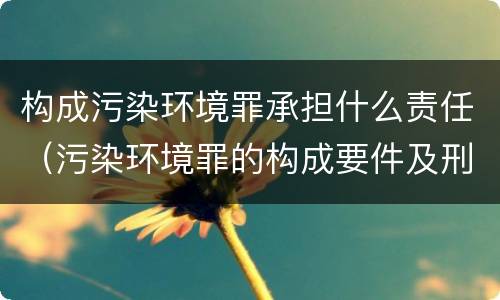 构成污染环境罪承担什么责任（污染环境罪的构成要件及刑事责任）