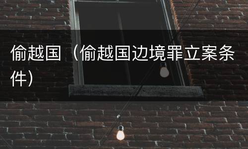 偷越国（偷越国边境罪立案条件）