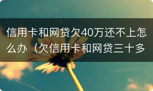 信用卡和网贷欠40万还不上怎么办（欠信用卡和网贷三十多万还不上怎么办）