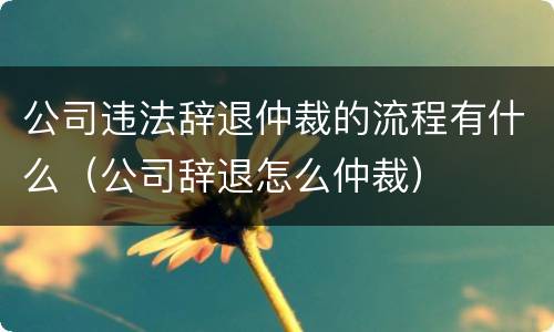 公司违法辞退仲裁的流程有什么（公司辞退怎么仲裁）