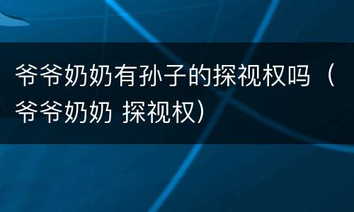爷爷奶奶有孙子的探视权吗（爷爷奶奶 探视权）