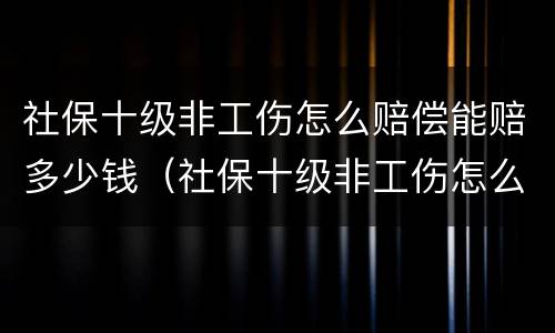 社保十级非工伤怎么赔偿能赔多少钱（社保十级非工伤怎么赔偿能赔多少钱一个月）