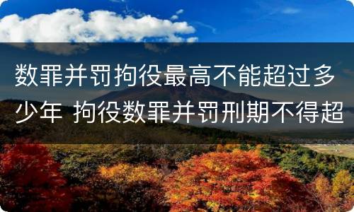 数罪并罚拘役最高不能超过多少年 拘役数罪并罚刑期不得超过