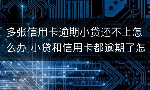 多张信用卡逾期小贷还不上怎么办 小贷和信用卡都逾期了怎么办
