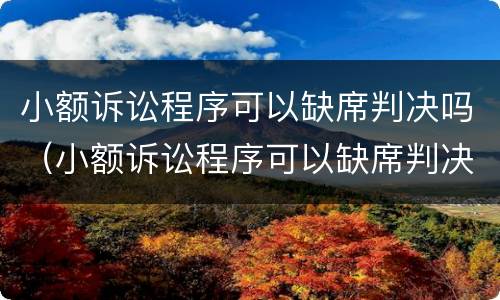 小额诉讼程序可以缺席判决吗（小额诉讼程序可以缺席判决吗法院）