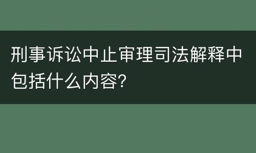 刑事诉讼中止审理司法解释中包括什么内容？